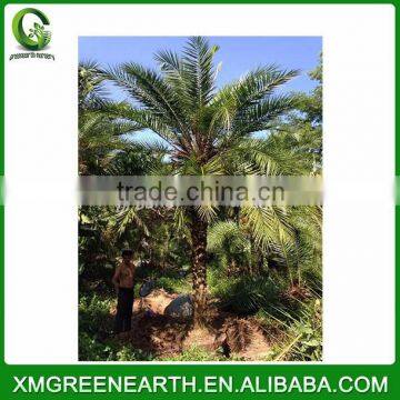 Sedex Audited Factory Fabric Covered Shank Button photo-4