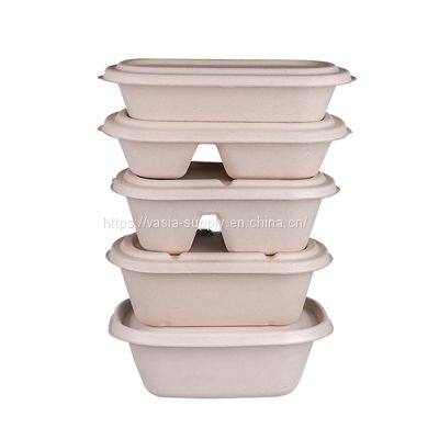 Sugarcane Fiber Bagasse Food Container 100% Compostable and Biodegradable Container