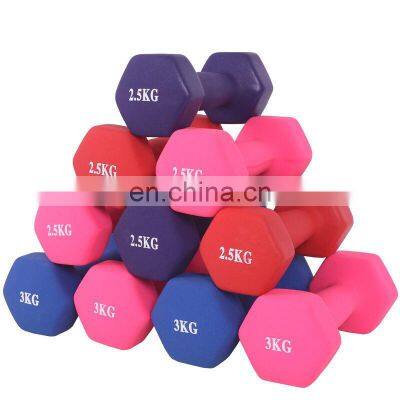 Hot Selling Custom Men And Women Can Use Impregnated Dumbbell Solid Bag Plastic For Children To Exercise At Home