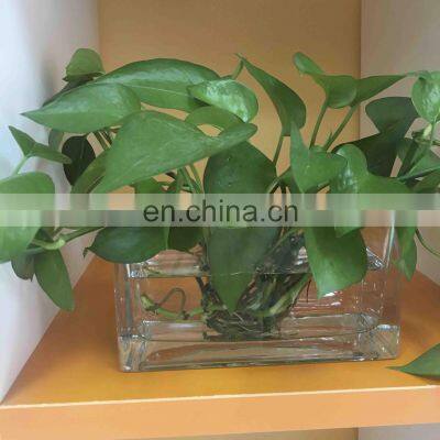 Fashionable New Long Glass Flower Vase photo-4