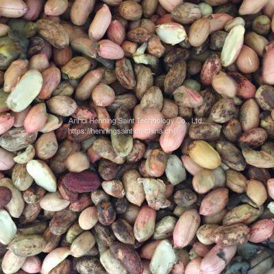 Henning Saint Peanut Color Sorter photo-5