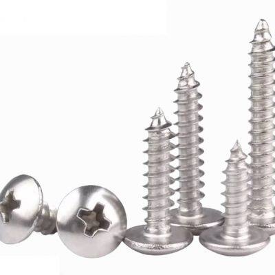 Stainless Steel Phillips Round Head Self Tapping Screws