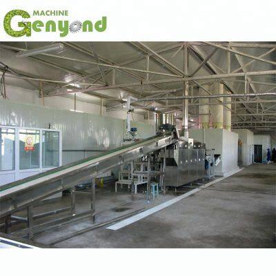 Linha de processamento automática de frutas e legumes congelados