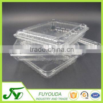 Fashion Design Clear Takeaway Plastic Fruit Container photo-5