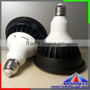 New!!!Epistar LED PAR 30 Green Spot Light,D95mm Directional Spot Light,100-240V AC 12W Par 30 LED Par Light photo-6