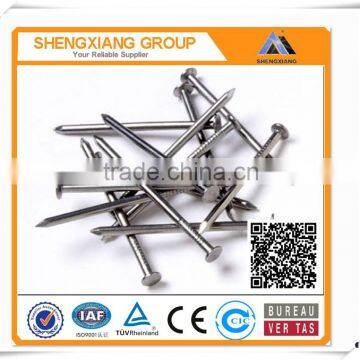 Common Iron Wire Nails