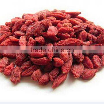 Low pestside Goji Berry