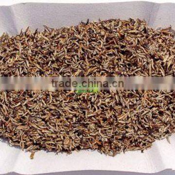 Organic Golden Tips Tea Leaves photo-2