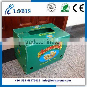 PP Plastic Corrugated Box For Grapes Packing