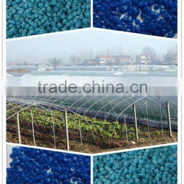 Greenhouse Film