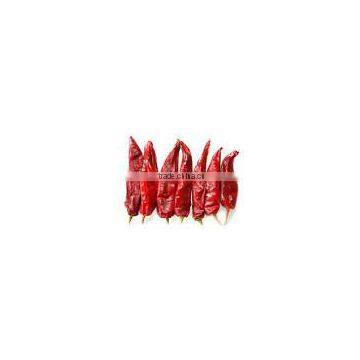 Dried Chilli - very competitive price _ QQ : 2598494113