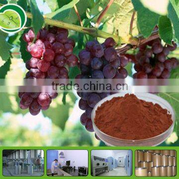 Free sample of organic grape seed extract OPC95%