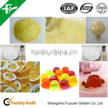 High Quality Factory Supply Gelatin photo-3