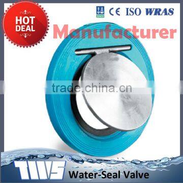 iron check valve