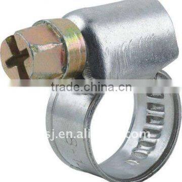 Stainless Steel Hose/Pipe Clamp