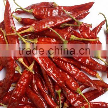 Red chillies