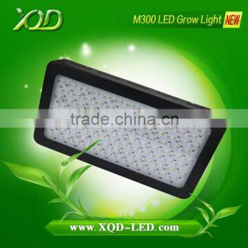 Led Bulbs to Indoor Growing High Power Lighting Led 300w 3w Chip Looking for Partners