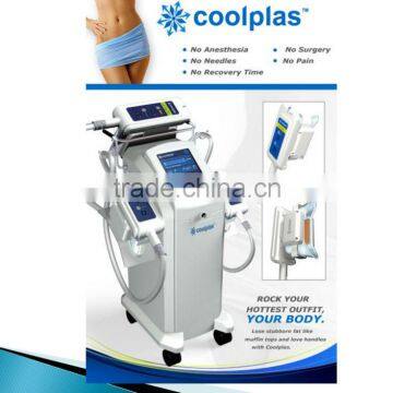 Vertical Plant Artificial Walls Plastic Green Wall Garden for Sale photo-4