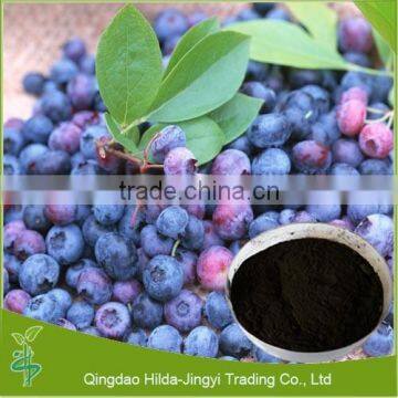 Pure natural dried blueberry powder