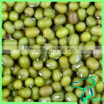 Excellent Quality Excellent Quality Whole Green Mung Beans