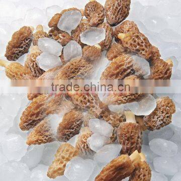 Wild Hot Sale Morehella Esculenta photo-4