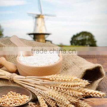 High Quality Wheat Flour