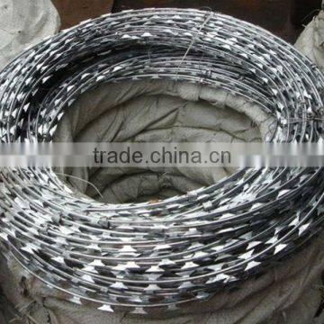 razor blade wire (factory)