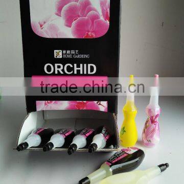 drip feed orchid