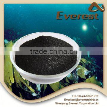 Natural Ascophyllum Nodosum Brown Seaweed Extract Powder