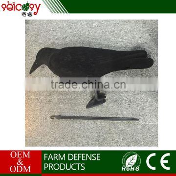 High quality CE Certificate Eco-Friendly gurantee 1 year trap to catch bird