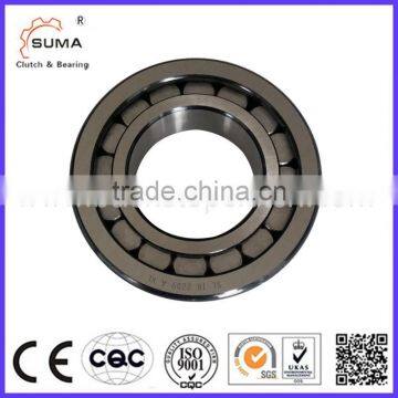 Two Way Full Complement Cylindrical Roller Bearing SL183006