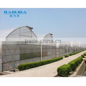 Plastic Film Covered Greenhouse For Mushroom&Roses photo-5