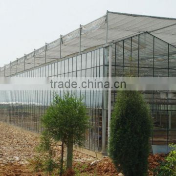 Modern apperance Hot Dip Galvanized Steel Structure Glass Covering Greenhouse