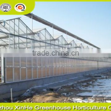 hot sale large multi-span Glass green house agriculture & commercial used greenhouse