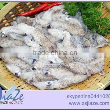Zhoushan Seafood Suppliers Frozen Baby Squid photo-4