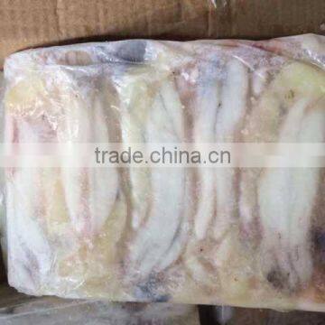 Illex Roe