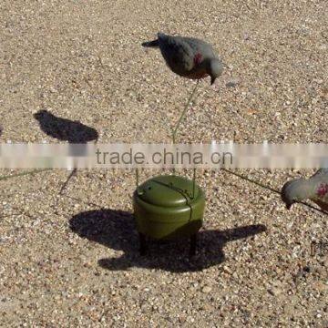 Feeding Mourning Dove Dedoys With Stake photo-6