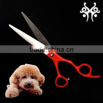 Wholesale Pet Clipper Dog Cleaning Scissors for Pet Shop Suppliers QJE-P06 photo-2