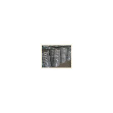 1/4 inch galvanized welded wire mesh