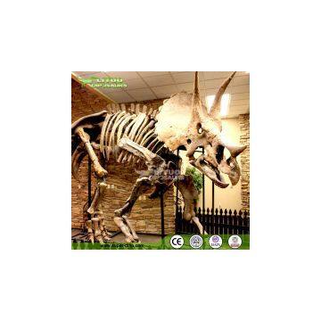 Life Size Dinosaur Skeleton Model