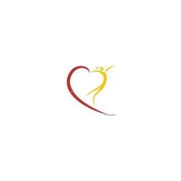 flying phoenix electronic technology co., LTD