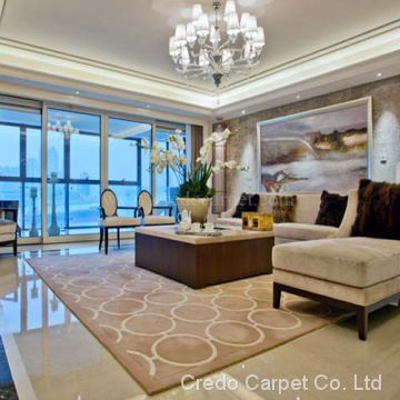 Beige color living room large size luxury quality carpet (CR09)