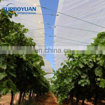 100% virgin transparent tarpaulin used for cherry tree protection covers roofing cover tarpaulin