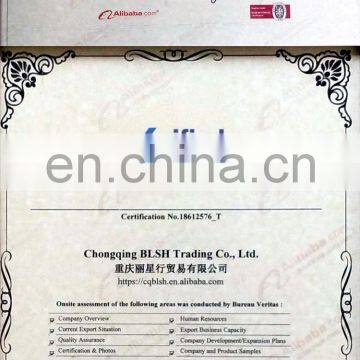 BLSH High Quality and Good Price 191970 Piston Pin for Cummins NT855 Engine