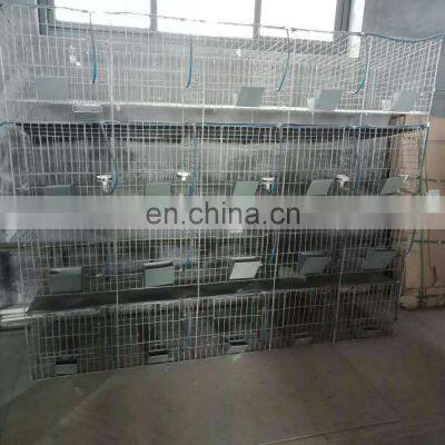 3 layers 12 doors pigeon cages for poultry farm