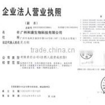 Business License