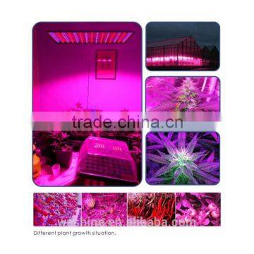 Amazon HOT 45W Full Spectrum High Intensity Blue Red Light Square Panel Homemade Led Plant Grow Lights Suitable for Vegs Fruits photo-5
