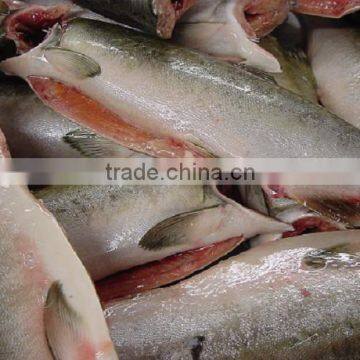 Frozen H&G Pink Salmon photo-5