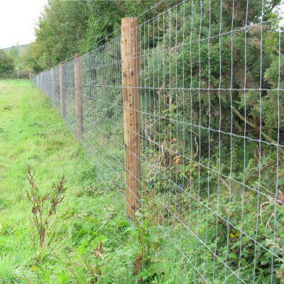 Wholesale 50m Length Galvanized Sheep Farm Fence Knitted Wire Mesh for Grassland Protection Security Isolation Cutting Welding