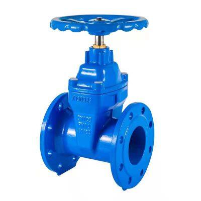 Stainless Steel Flange Connection Gate Valve #150